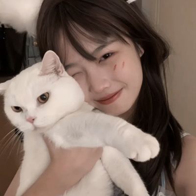 蜀山仙侠图满v版下载