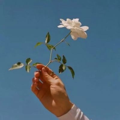 手游光荣使命使命行动正式版下载